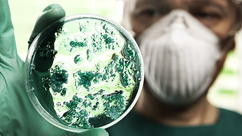 A virologist holding a petri dish of virus cells