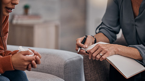 A counsellor talking to a client