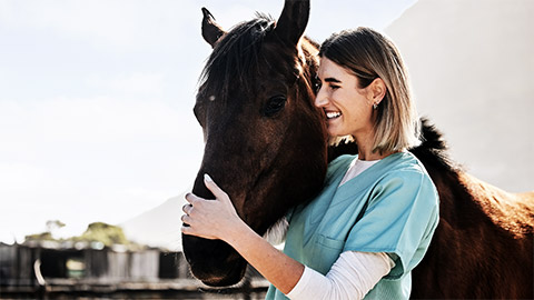 a happy doctor taking care of a horse