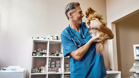 My best part of work! Middle aged positive vet in work uniform talking with small ginger dog while standing at veterinary clinic