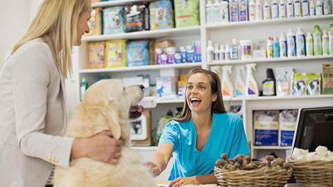 Receptionist greeting dog in vet's surgery