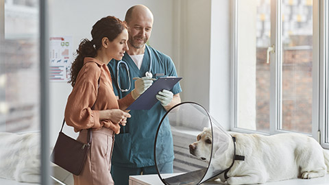 Portrait of young woman talking to veterinarian at vet clinic with pet dog wearing protective collar at examination table, copy space