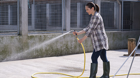 cleaning time for kennel assistant