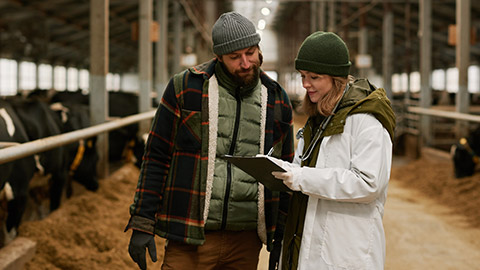 Two vets on a farm writing information on a tablet device