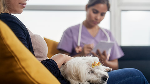 woman working as veterinary, vet talking to dog owner during house call