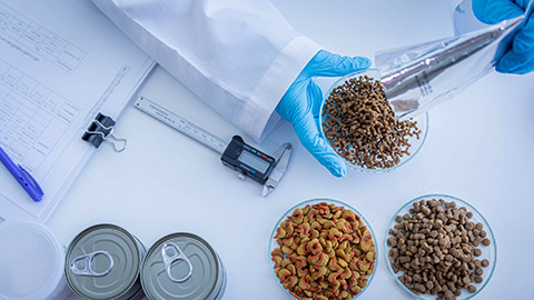 Quality control process of pet food industry