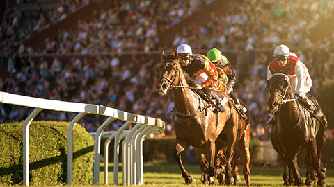 Two jockeys during horse races on his horses going towards finish line