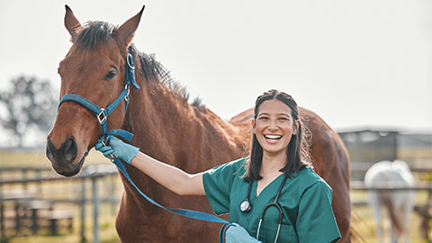 Horse, woman veterinary and portrait outdoor for health and wellness in the countryside. Happy doctor, professional nurse or vet person with an animal for help, healthcare and medical care at a ranch