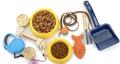 Pet supplies on white background, top view. Leash, brush, scoop, toys and food. Essentials to keep your animal happy and healthy.