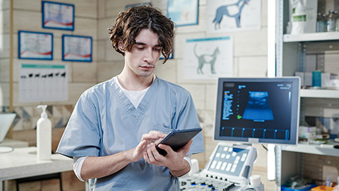 Vet doctor using tablet pc at work