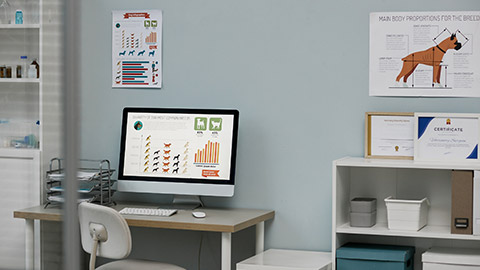 Workplace of vet expert with graphic information describing quantity of dogs most common breeds on screen of computer monitor