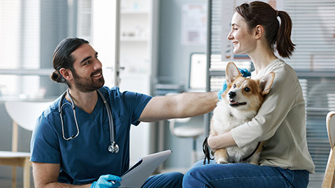 veterinarian in gloves and uniform consulting female owner of purebred welsh pembroke corgi dog in medical office