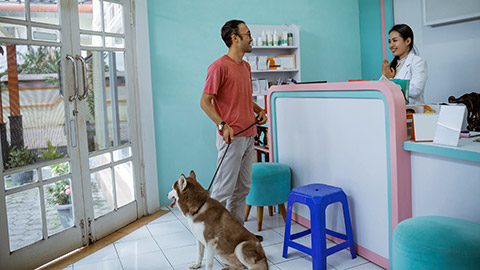 a male pet owner come to pet clinic with his siberian dog met a beautiful female vet