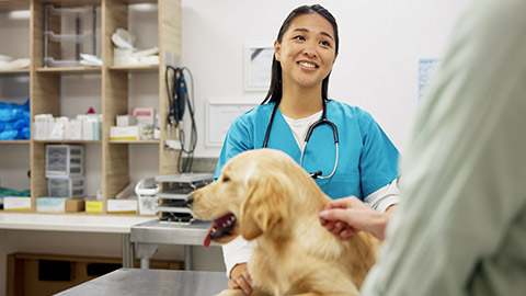 Woman, vet and dog at clinic with consulting, care and stroke for health, development and growth with wellness