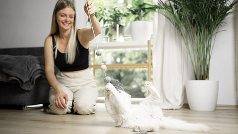 Woman playing toy with cat