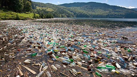 Garbage in a lake