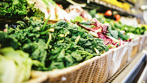 A close view of various garden vegetables