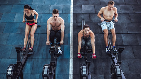 A group of people using rowing machines