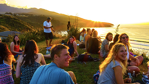 A group of kiwis outdoors