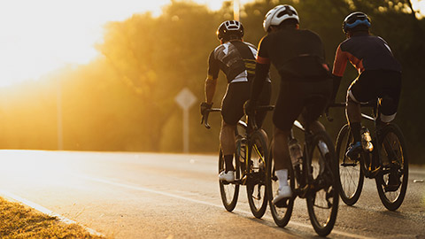 A group of road cyclists