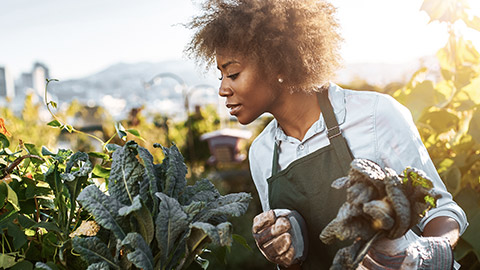 Tending to garden