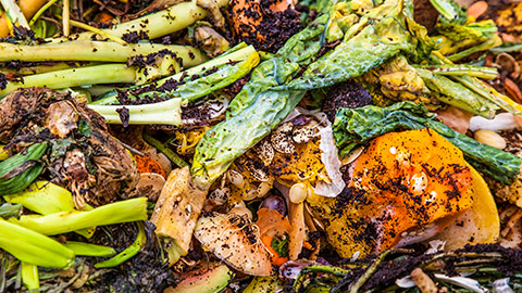 A compost bin