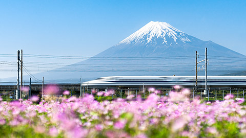 A bullet train passing Mt Fuji