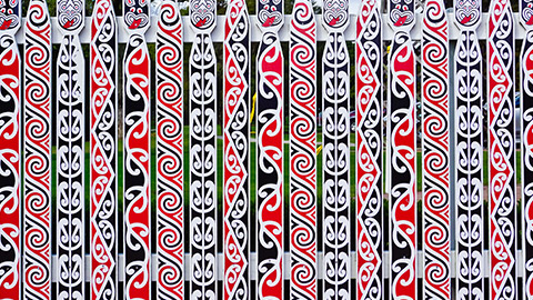 Maori paintings