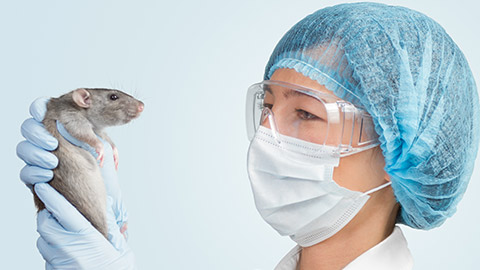 A vet holding a rodent