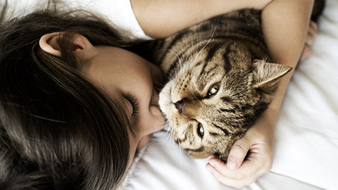 Child playing with cat on bed
		