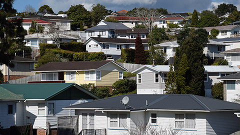 A selection of houses in NZ