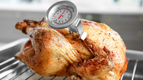 A turkey with a meat thermometer in it