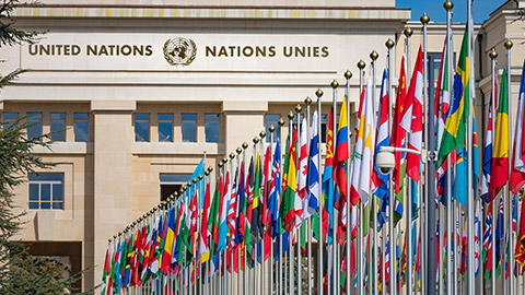 United Nations and flags