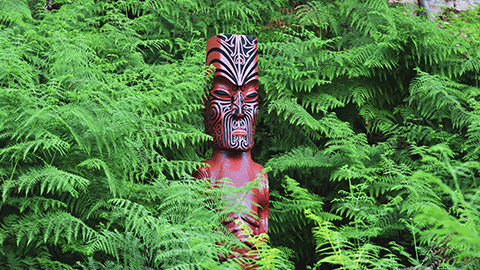 A maori sculpture in the bush