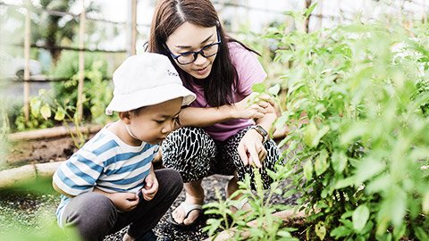 A child and carer looking at greens in a garden