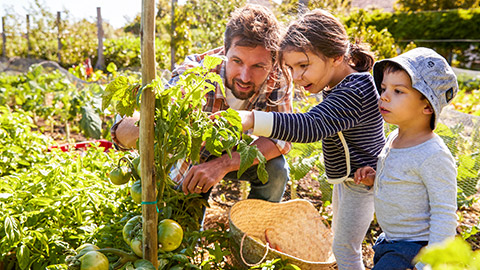 A parent and kids in a vegetable garden