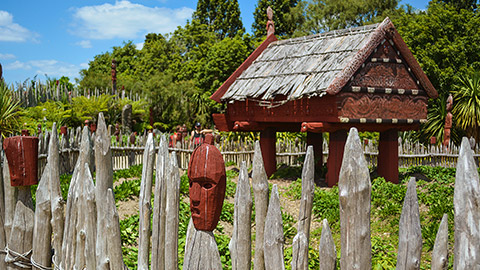 Te Parapara garden