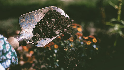 A small shovel with soil on it