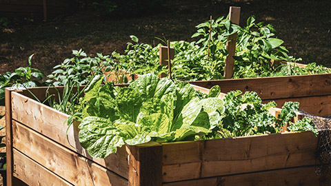 Planter boxes