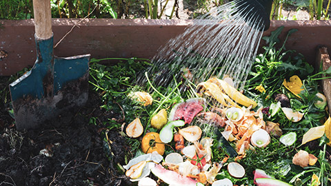 A person watering compost