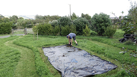 Removing tarp