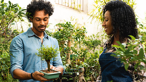 2 people admiring a bonsai tree