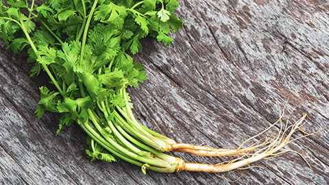 A bunch of coriander