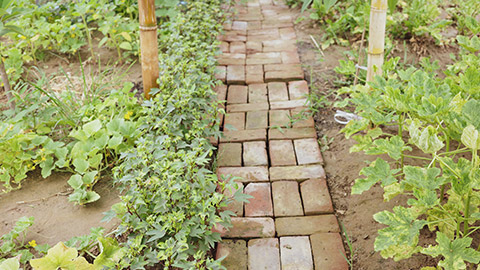 A brick pathway