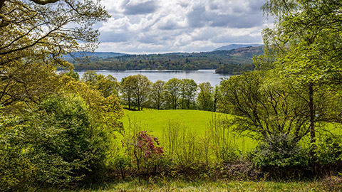 The view over a back yard and garden