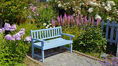 A blue bench in a garden