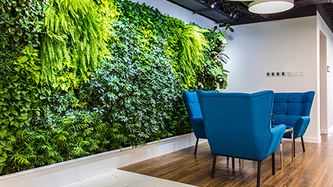 Greenery inside an office