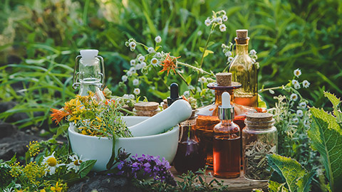 A selection of herbal medicines