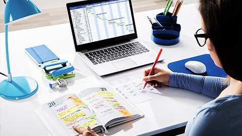 Woman using calendar app on computer in office