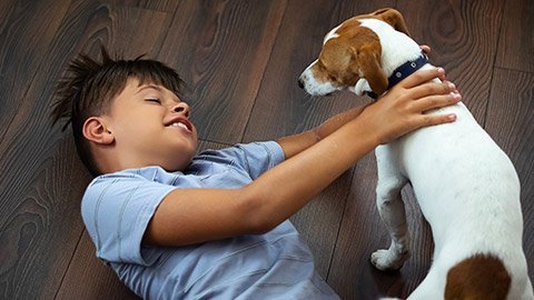 A child interacting with a pet